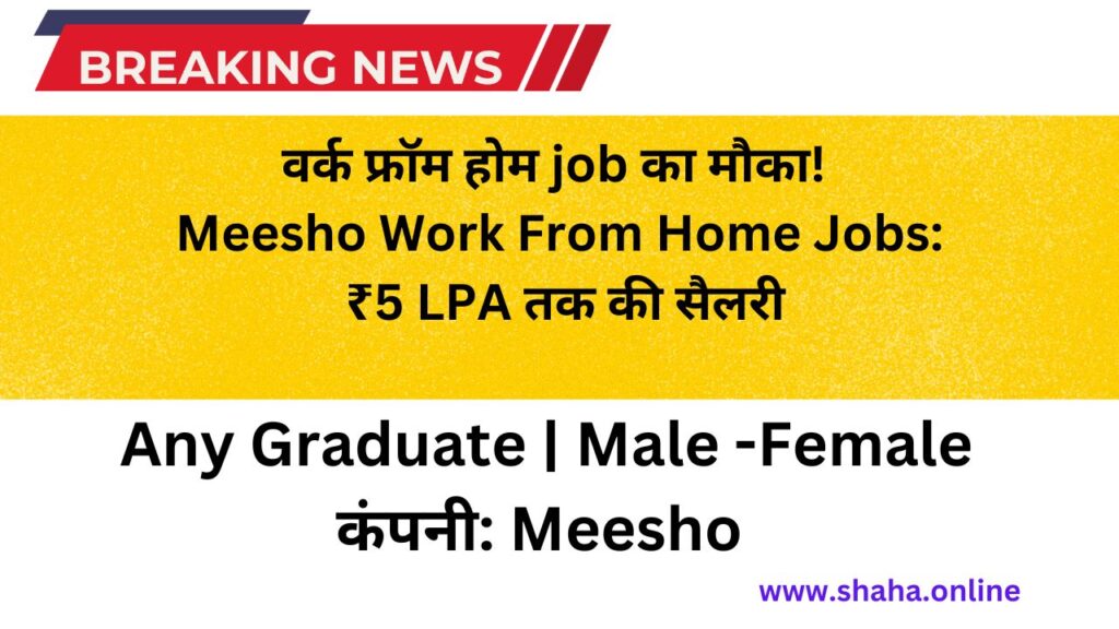 Meesho Work From Home Jobs: शानदार मौका! जानें कैसे पाएं ₹5 LPA तक की सैलरी बिना ऑफिस जाए